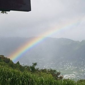 Meet your Posher, Gregory